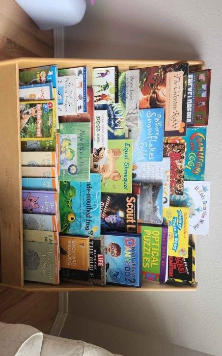 Ecr 4 Kids Bookshelf 