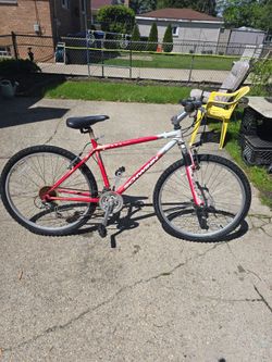 Adult Bike  26in