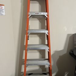 Werner 6ft Ladder (300lbs)