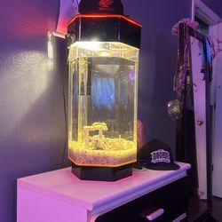 Fish Tank