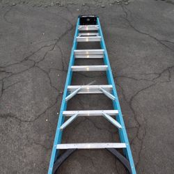 Werner Fiberglass Ladder