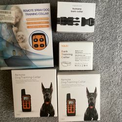 K9 Training
