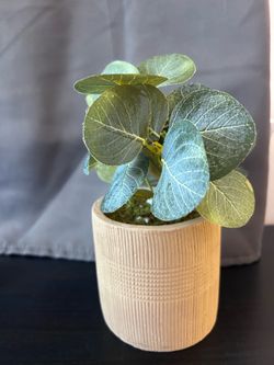 Planta 🪴 artificial pequeña $4 en la cuidad de Lynwood
