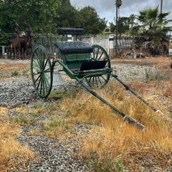 Horse Buggy