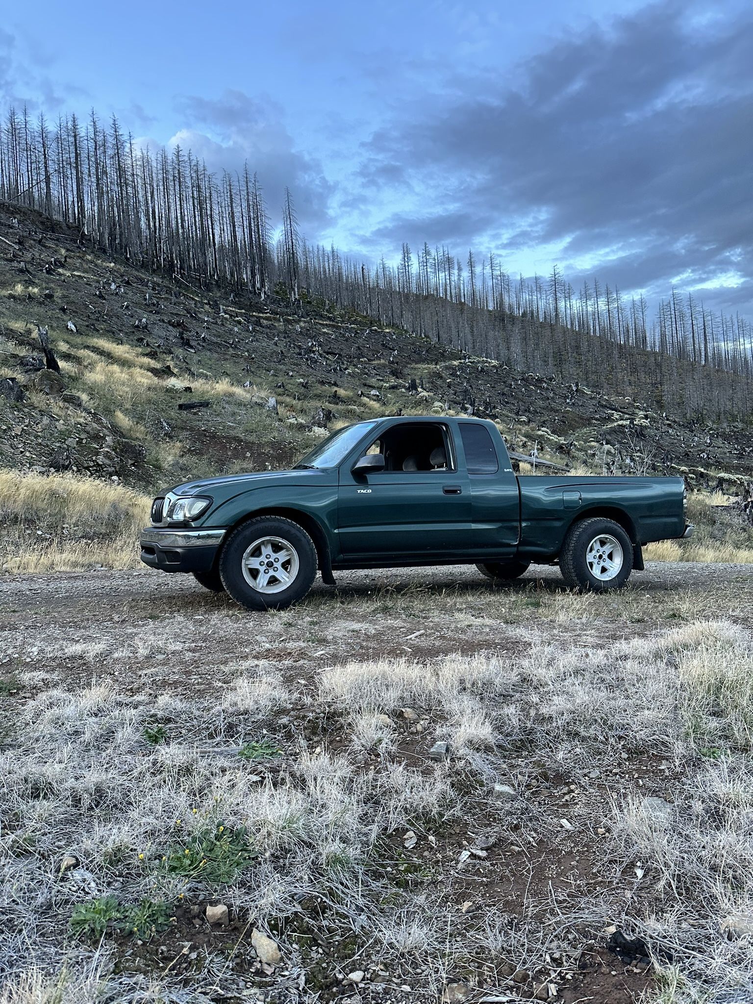 2003 Toyota Tacoma