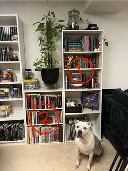 White Target Bookcases