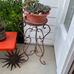 SUCCULENTS & IRON STAND