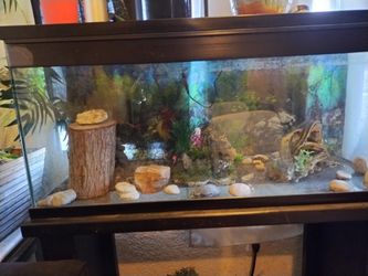 Fishtank With Stand