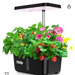 Indoor Hydroponics