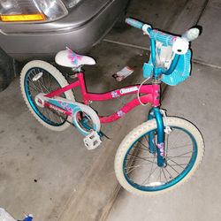 20 Inch Bike