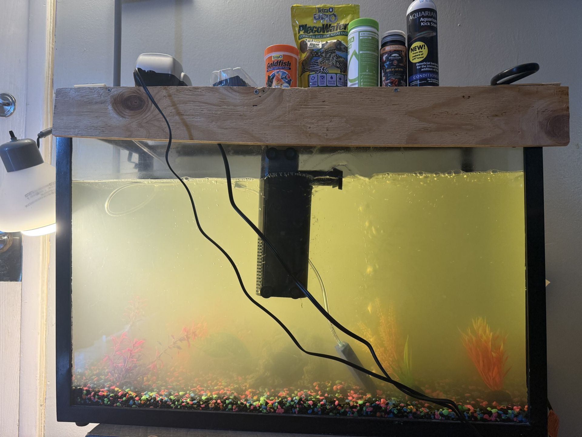 30 Gallon Fish Tank