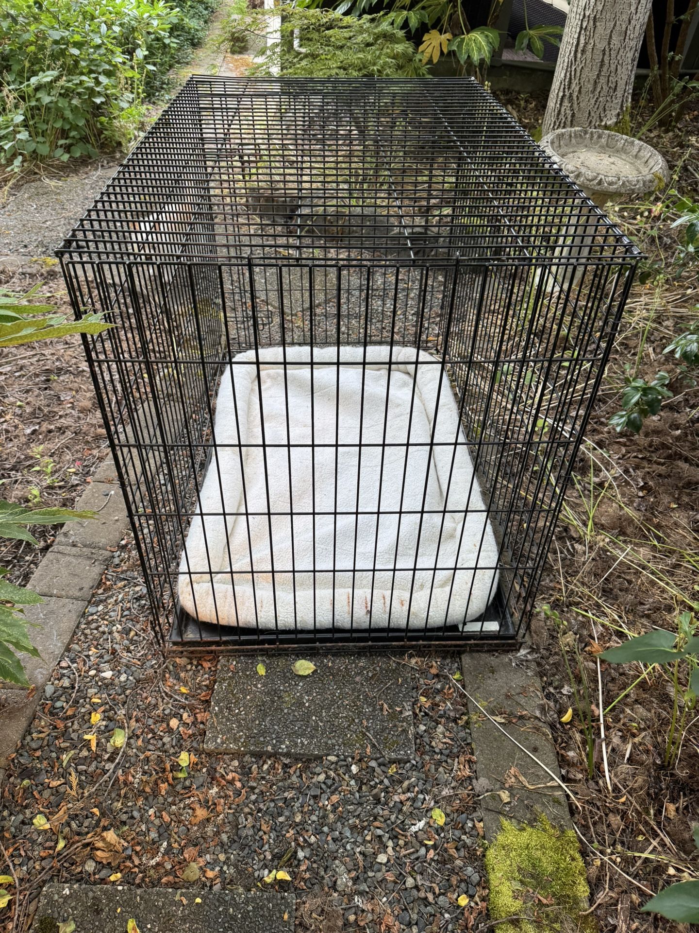 Large Dog Kennel And Dog Stairs