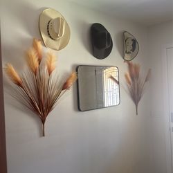 Mirror And Artificial Plants