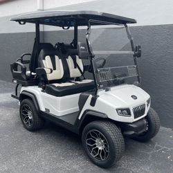 NEW Option Loaded Lithium Battery Golf Cart 