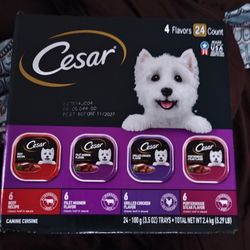Cesar Dog Food  2 Boxes 