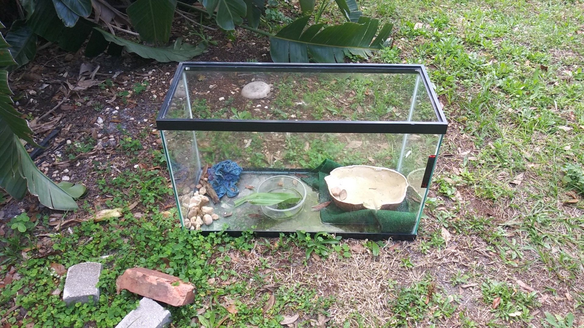 Reptile tank or fish tank