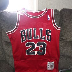 Bulls Jordan Jerseys!!!