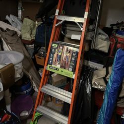 Louisville 6ft Ladder New 