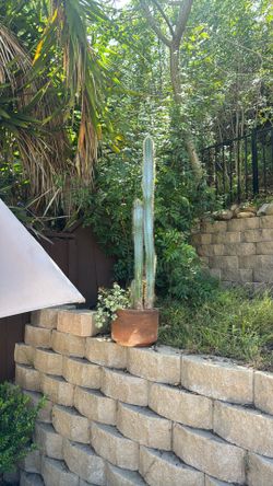 Succulent planter