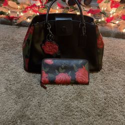 Coach Purse And Wallet 