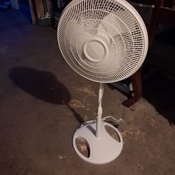 Fan Great Condition 