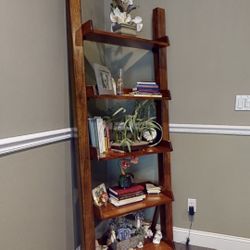 Ladder Bookshelves