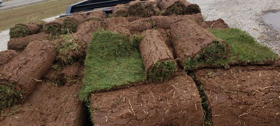 Grass Sod For Sale