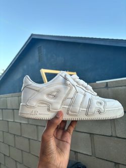 Cpfm af1