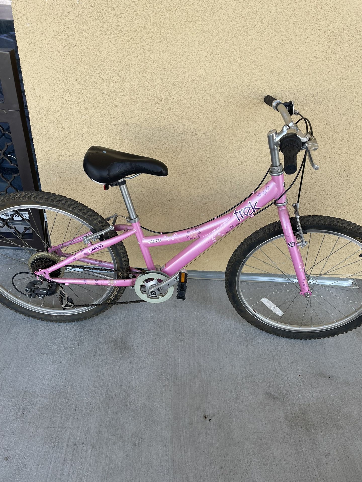24” Trek Pettie Adults/ Women Kids Girls Preteen Youth Mountain Bike