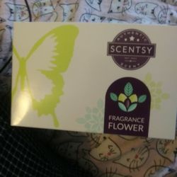 Scentsy Fragrance Flower Blackberry Vanilla