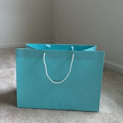 tiffany co shopping bag