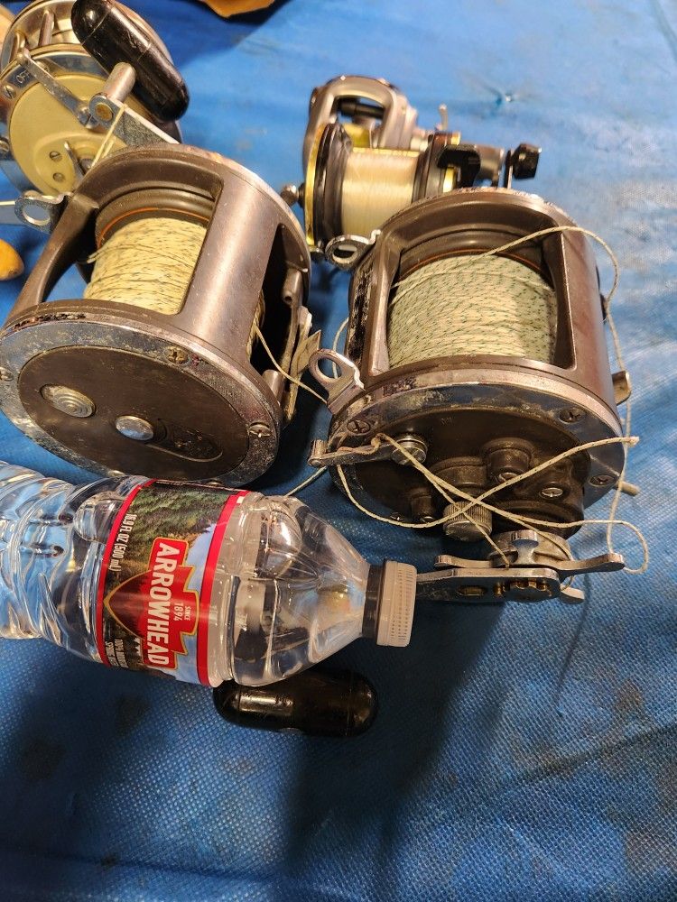 Fishing Reels All Must Go