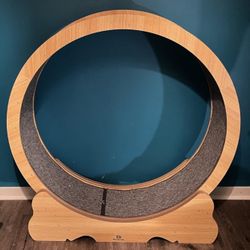Exercise Wooden Wheel