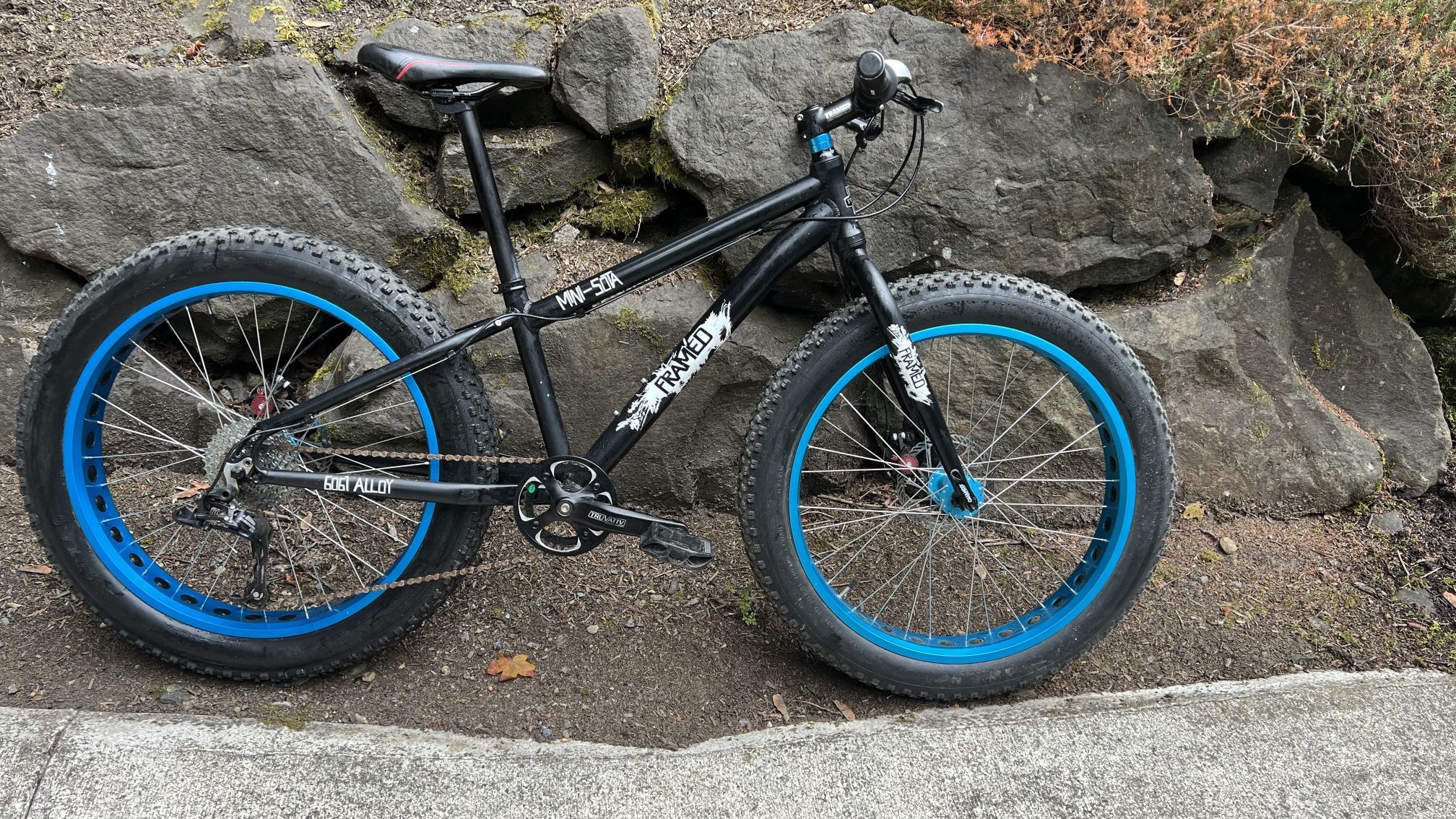 Framed Mini-Sota Youth Fat Tire Bike