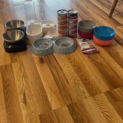 Cat Food And Bowls 