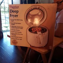 Deep Fryer 