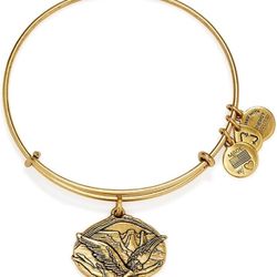 Alex and Ani Guardian of Freedom Bracelet 