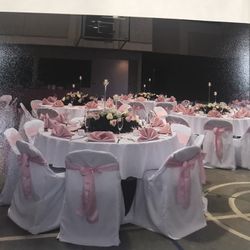 Chair Covers And Sashes/Cobertor De Sillas 