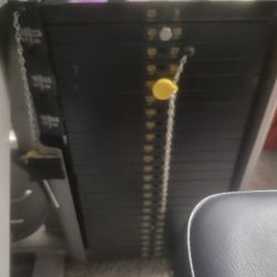 NAUTILUS  NITRO LEG PRESS