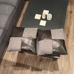 2 Couch Pillows Free 