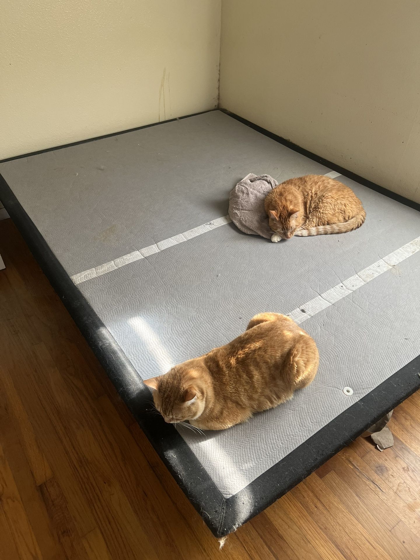 Free Adjustable Bed Frame - Queen