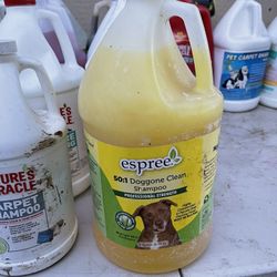 Dog Shampoo