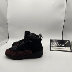 Air Jordan 12's