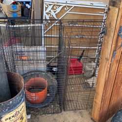 Dog Crates