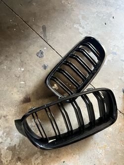 Kidney Grills