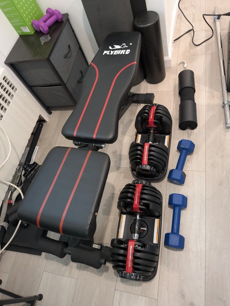 Flybird Adjustable Bench