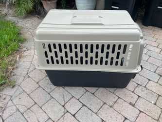 Large plastic dog crate kennel carrier top paw  like new