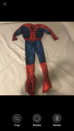 Spider-Man Halloween Costume