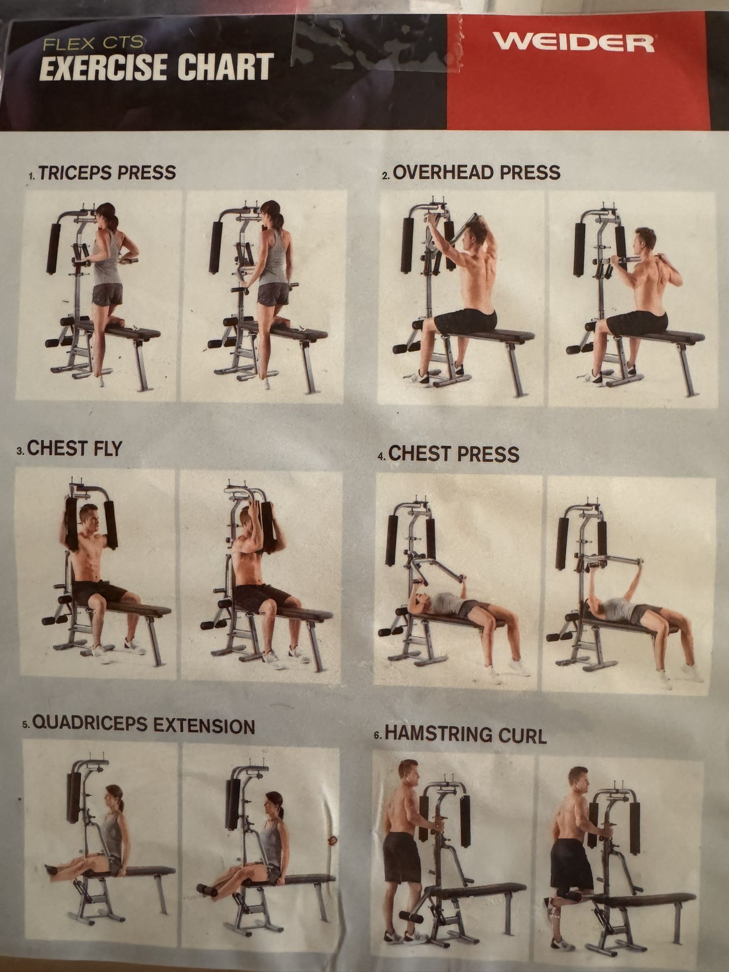 Weider Excercise