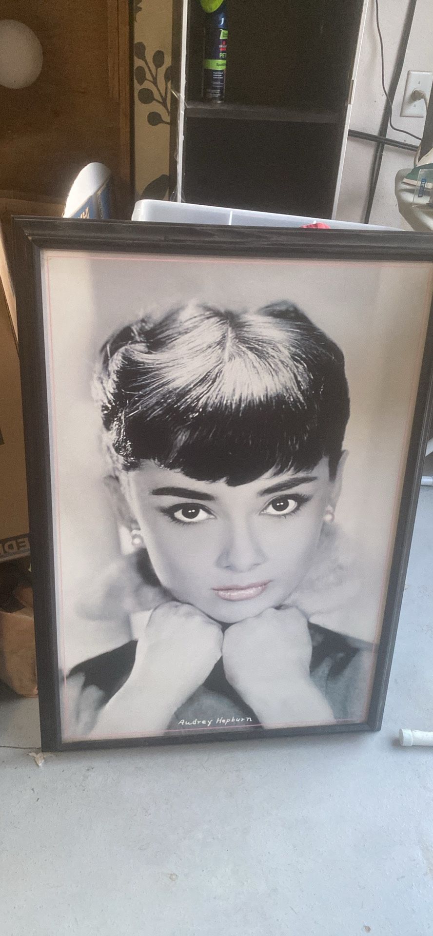 Audrey Hepburn Framed Photo